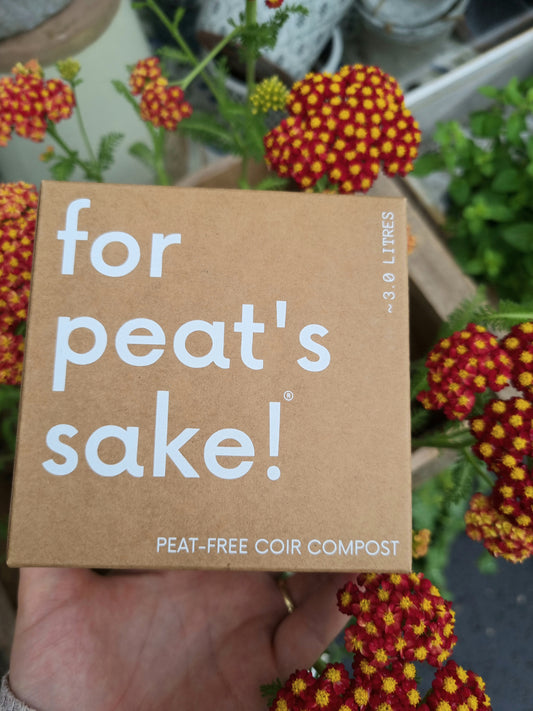 For Peat's Sake - the one pot wonder