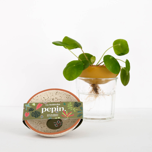 Pepin - Bobèche Plants 🌱 - Speckled white