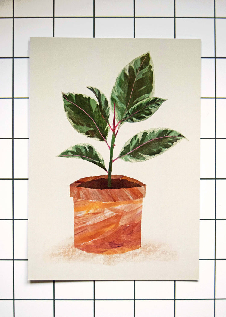 Rubber Plant Print / A4 + A3 / 350gsm Matt Art Print: A4