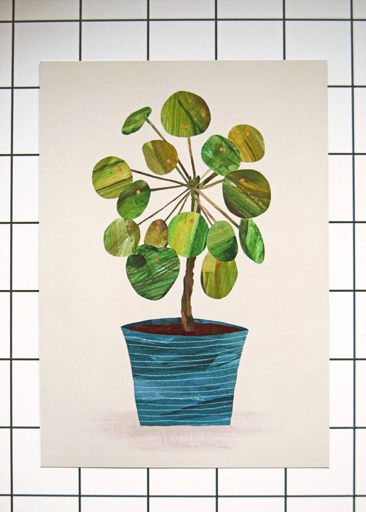 Pilea Plant Print / A4 + A3 / 350gsm Matt Art Print: A4