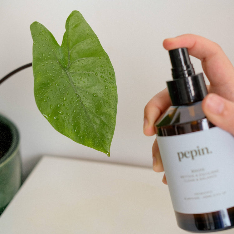 Pepin - Cleaning Brume