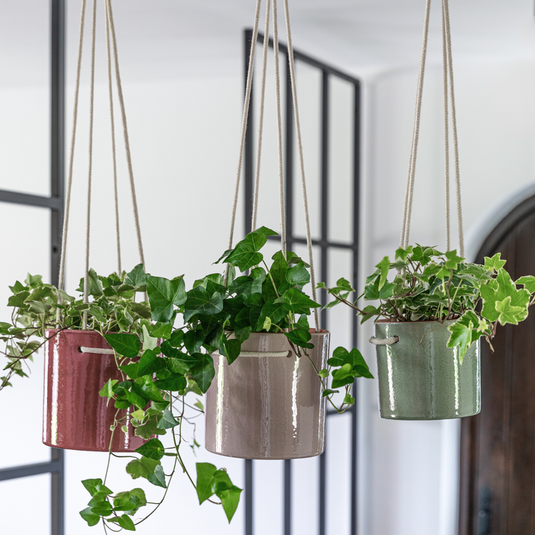 Ivyline - Kai Hanging Cylinder Planter H13cm D13cm: Blush / Ceramic / English