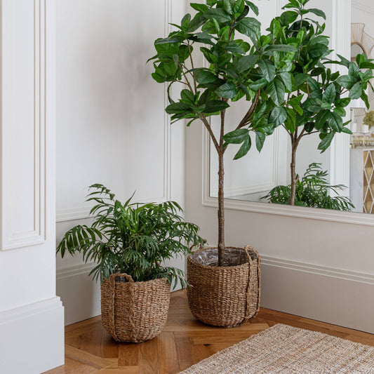 Ivyline - Tenno Natural Seagrass Indoor Lined Basket Planter