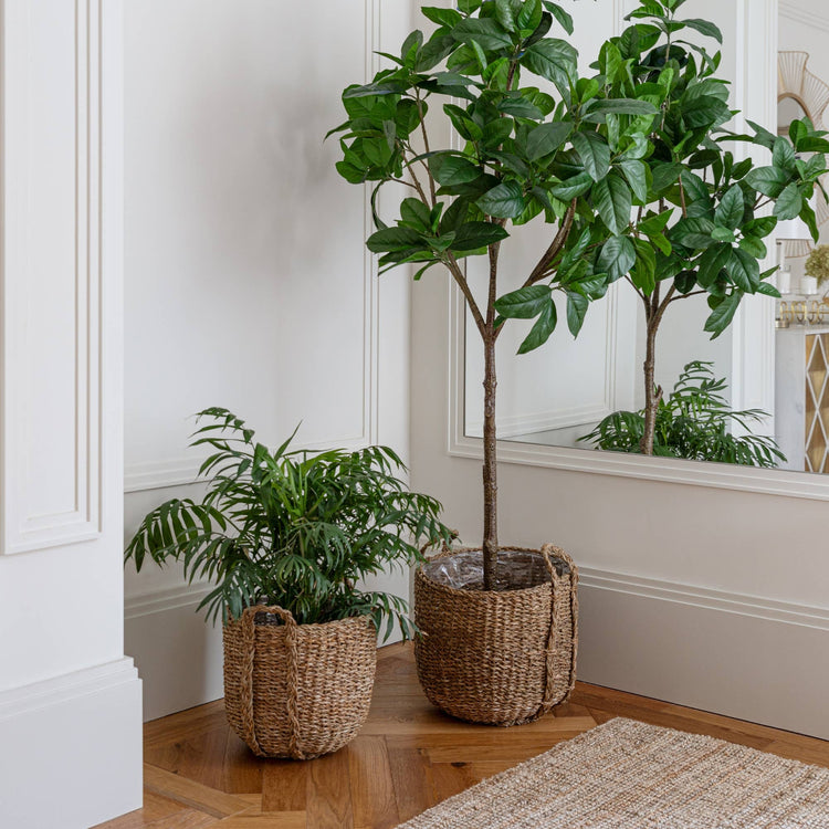 Ivyline - Tenno Natural Seagrass Indoor Lined Basket Planter