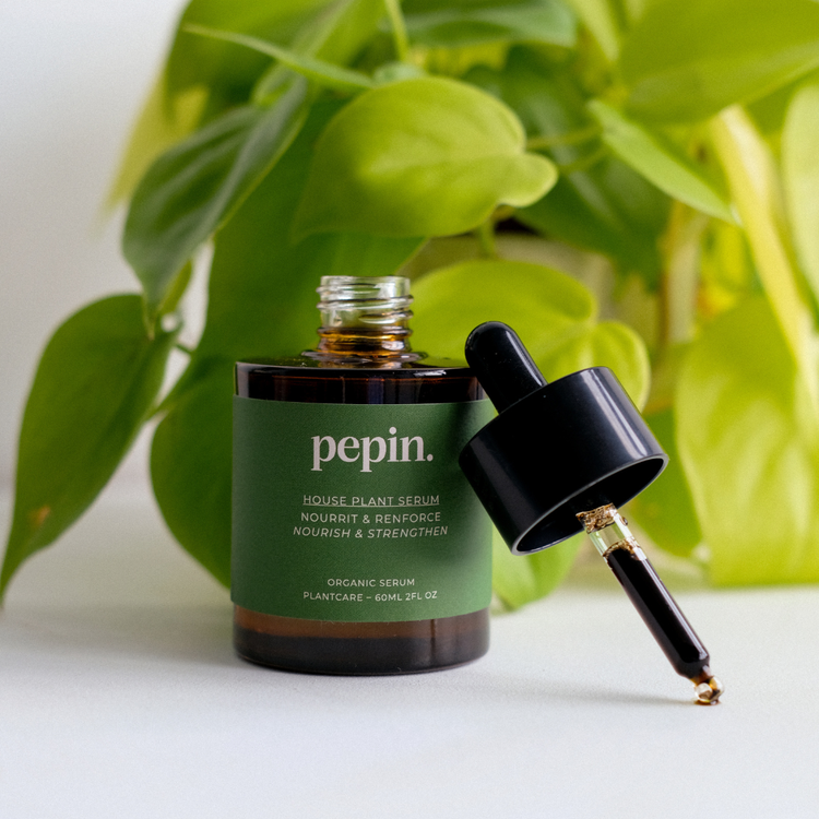 Pepin - Houseplant Serum