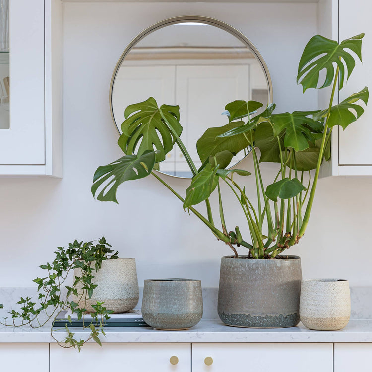 Ivyline - Celeste Planter: Cream / 21 cm