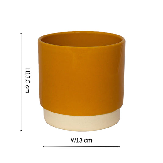 Ivyline - Enos Ceramic Indoor Plant Pot H13.5cm D13cm: Mustard