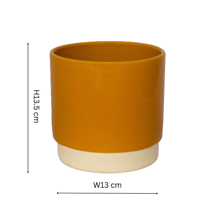 Ivyline - Enos Ceramic Indoor Plant Pot H13.5cm D13cm: Mustard