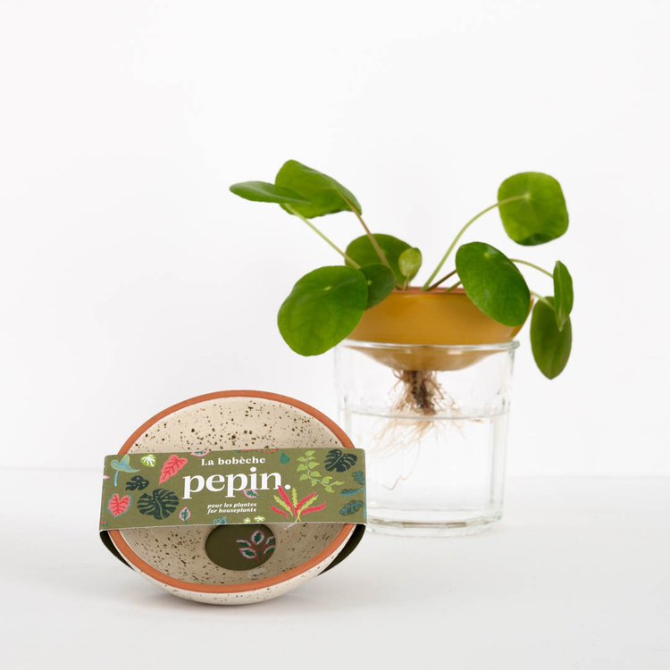 Pepin - Bobèche Plants 🌱 - Speckled white