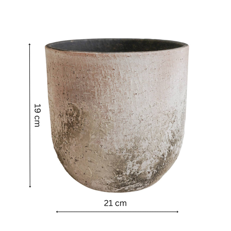 Ivyline - Albero Ceramic Indoor Planter H19cm x D21cm