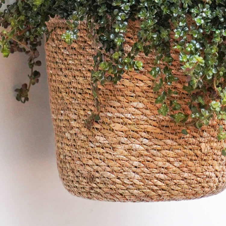 Ivyline - Odda Hanging Natural Seagrass Lined Indoor Planter: H14cm x D17cm