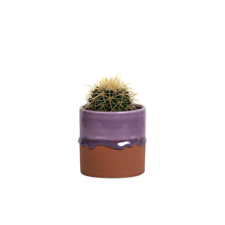 YOD&CO - Drip Ceramic Planter : Honey / Medium