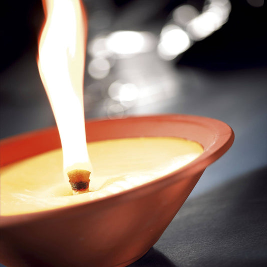 Ivyline - Outdoor Citronella Terracotta Candle Dish