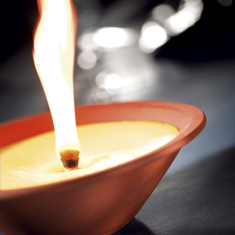 Ivyline - Outdoor Citronella Terracotta Candle Dish