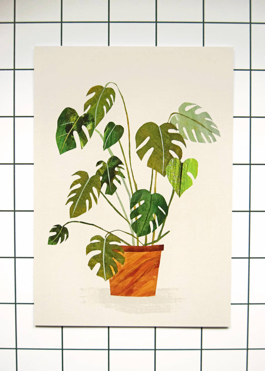 Monstera Cheeseplant Print / A4 + A3 / 350gsm Matt Art Print: A4