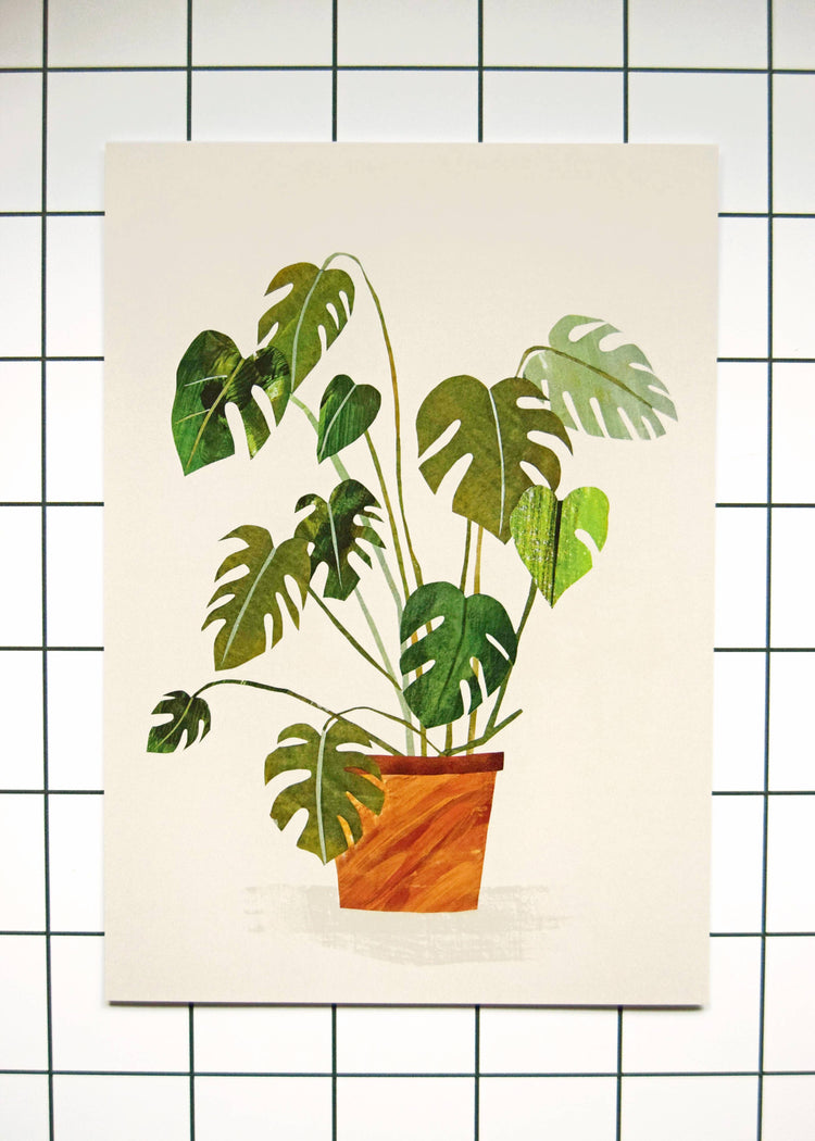 Monstera Cheeseplant Print / A4 + A3 / 350gsm Matt Art Print: A4