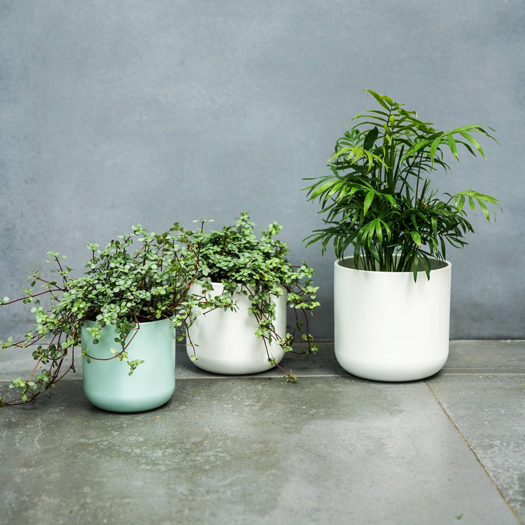 Ivyline - Lisbon Ceramic Indoor Planter H18.5cm D18.5cm: Light Grey
