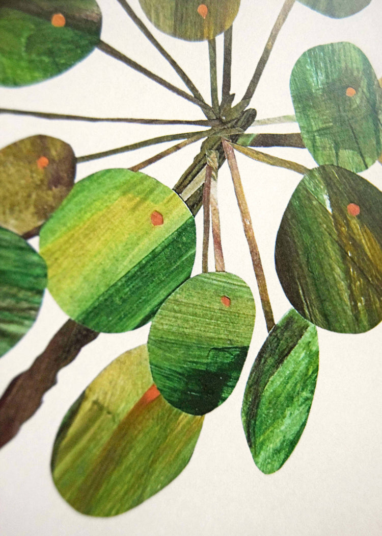 Pilea Plant Print / A4 + A3 / 350gsm Matt Art Print: A4