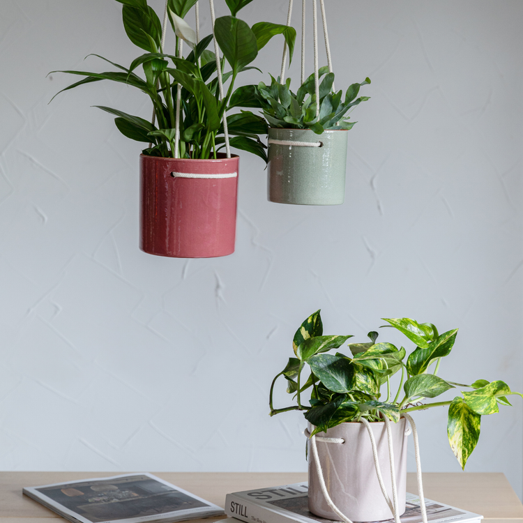 Ivyline - Kai Hanging Cylinder Planter H13cm D13cm: Cherry / Ceramic / English