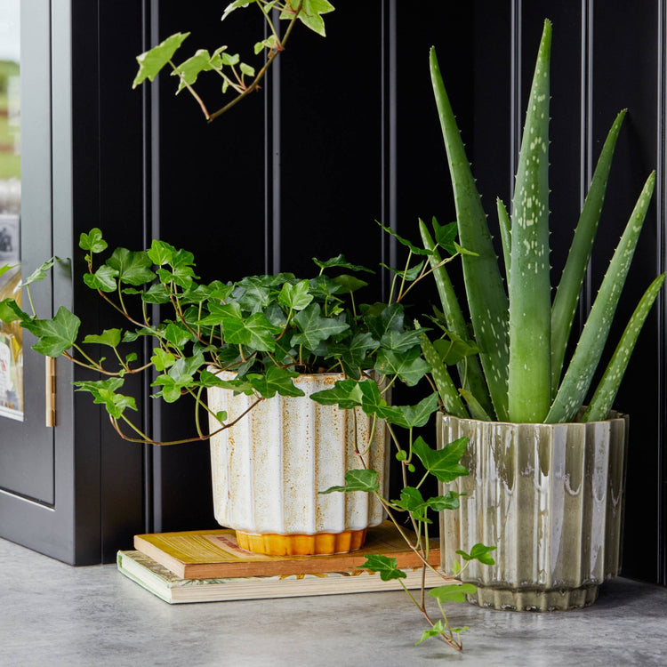 Ivyline - Lugano Scalloped Reactive Planter: Mustard / 13 cm